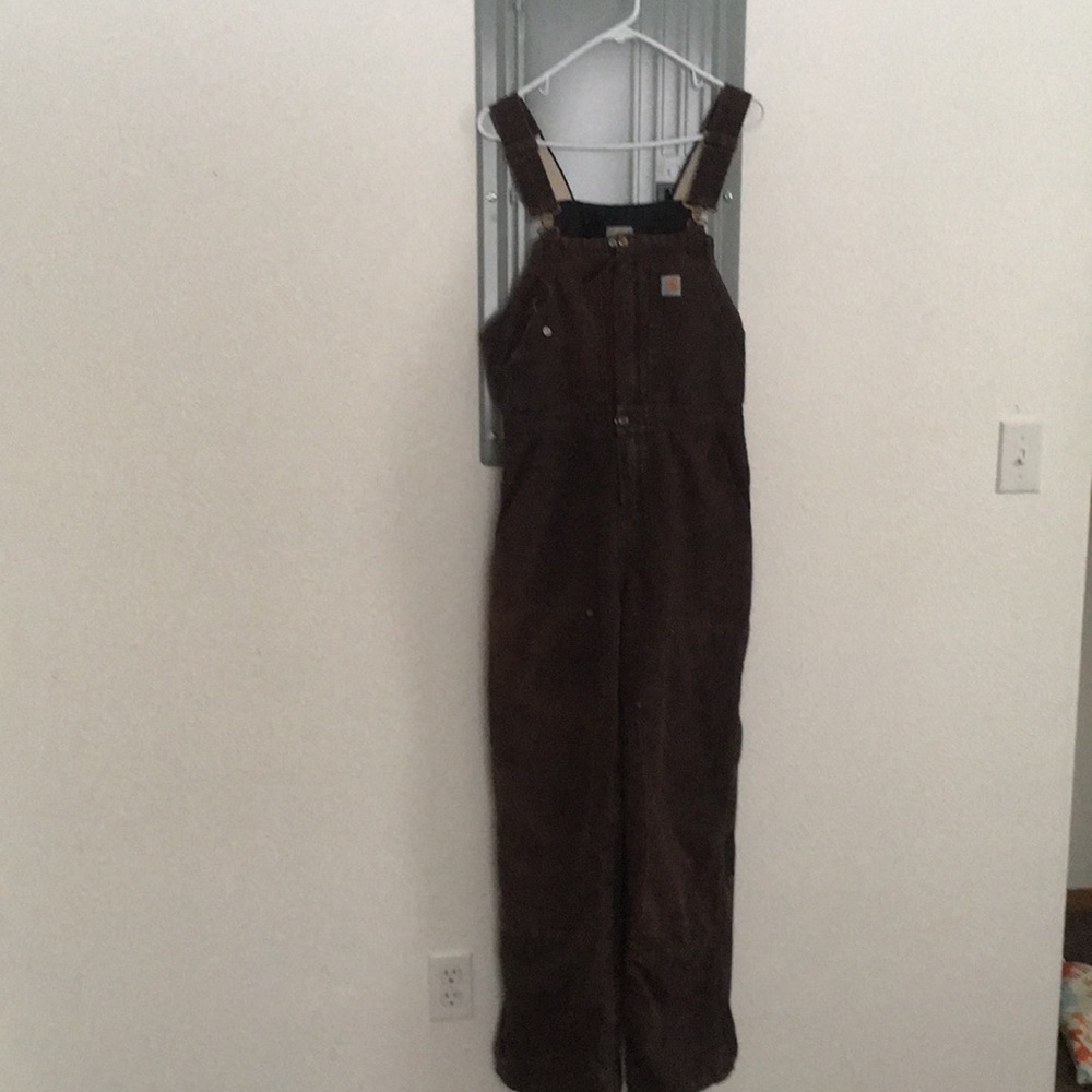 Carhartt insulated overalls